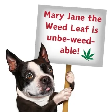 Funny Mary Jane Dog Toy | Quality Plush Squeaker for All Dogs