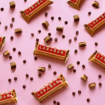 Delicious Vegan LARABAR Peanut Butter Chocolate Chip Snack Bar