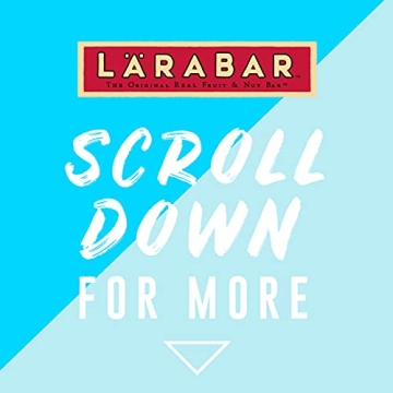 Delicious Vegan LARABAR Peanut Butter Chocolate Chip Snack Bar