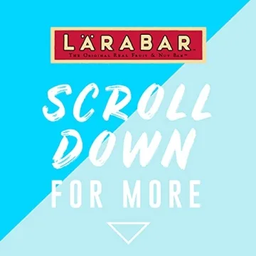 Delicious Vegan LARABAR Peanut Butter Chocolate Chip Snack Bar