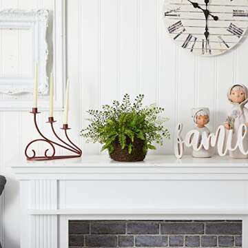 Nearly Natural Mixed Fern with Twig and Moss Basket