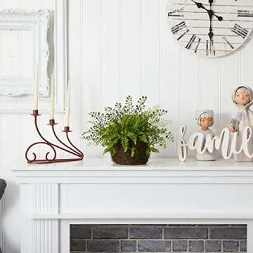 Nearly Natural Mixed Fern with Twig and Moss Basket