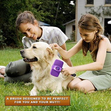 GM Self Cleaning Slicker Brush for Cats and Dogs  | Best Grooming Tool