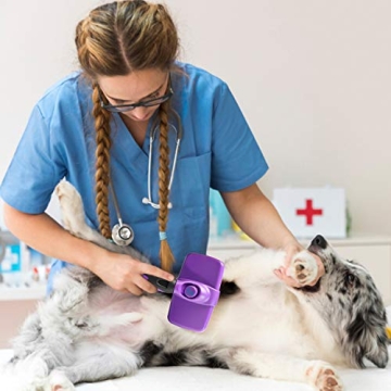 GM Self Cleaning Slicker Brush for Cats and Dogs  | Best Grooming Tool