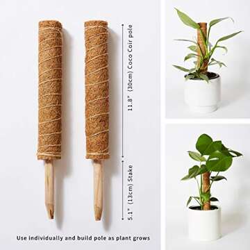Stylish Moss Pole Plant Support For Indoor Plants
