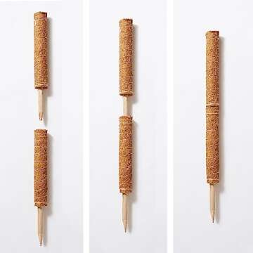 Stylish Moss Pole Plant Support For Indoor Plants