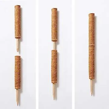 Stylish Moss Pole Plant Support For Indoor Plants