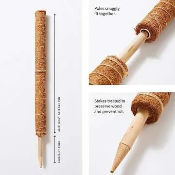 Stylish Moss Pole Plant Support For Indoor Plants