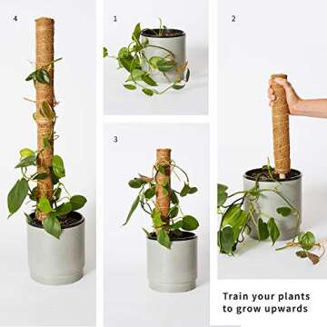 Stylish Moss Pole Plant Support For Indoor Plants