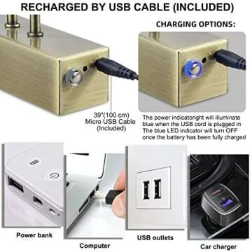 FUNCHDAY Picture Light,5000mAh Battery Operated Picture Light for Wall,Wireless Remote Painting Light with Timer and Dimmable,16”Metal Art Light for Display,Artwork,Portrait,Gallery-Antique Brass