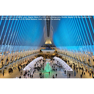 Shop Sigma 16mm f/1.4 Lens - Exceptional Quality for Canon