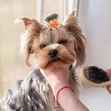 PET SHOW Flowers Dog Hair Bows Assorted Colors Pack