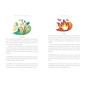 Discover the Chinese Zodiac: A Fun Kid's Guide