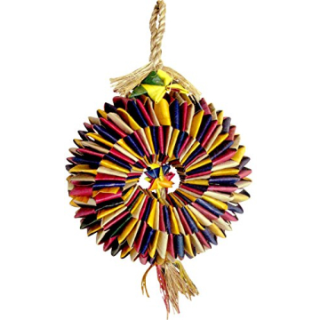 Exciting Planet Pleasures Bird Tire Toy for Parrots