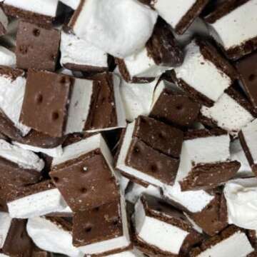 Crunchy Freeze Dried Ice Cream Sandwich Bites for Everybody