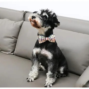 Unique Style Cotton Dog Collar with Detachable Bow Tie