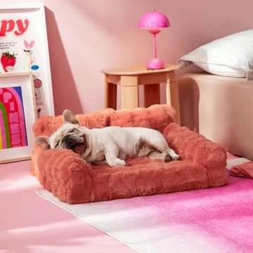 Lesure Cute Orthopedic Cat Couch Bed for Pets