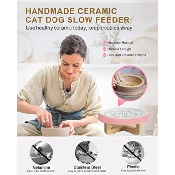 Ceramic Elevated Slow Feeder Bowl for Cats and Dogs