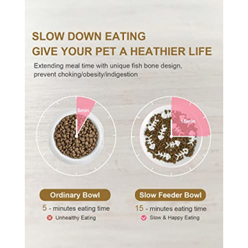 Ceramic Elevated Slow Feeder Bowl for Cats and Dogs