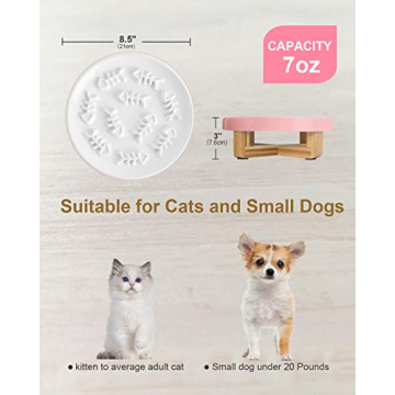 Ceramic Elevated Slow Feeder Bowl for Cats and Dogs