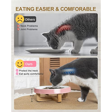 Ceramic Elevated Slow Feeder Bowl for Cats and Dogs