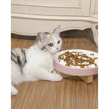 Ceramic Elevated Slow Feeder Bowl for Cats and Dogs