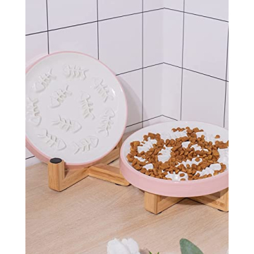 Ceramic Elevated Slow Feeder Bowl for Cats and Dogs