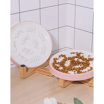 Ceramic Elevated Slow Feeder Bowl for Cats and Dogs