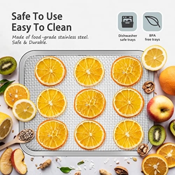 Septree Compact Food Dehydrator for Healthy Snacking