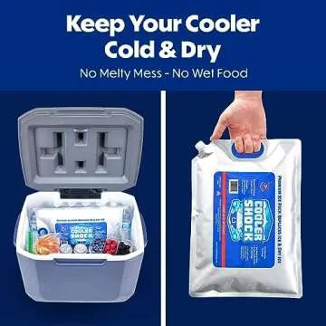 Cooler Shock Reusable Ice Packs - Long-Lasting & Convenient