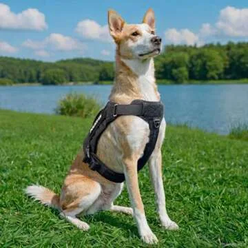 EXCELLENT ELITE SPANKER Tactical Dog Harness Vest with Handle Military Dog Harness Adjustable Training Harness No Pull Dog Harness for Small Medium Large Dogs(Black-S)