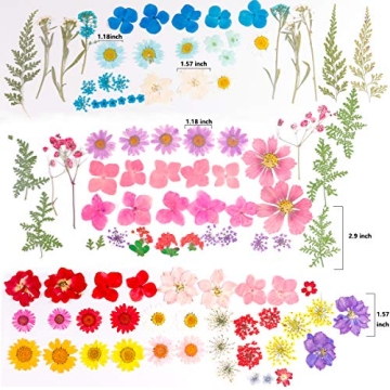 122PCS Dried Flowers Set for Art Crafts and Jewelry Making