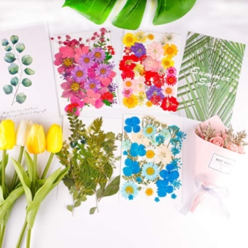 122PCS Dried Flowers Set for Art Crafts and Jewelry Making