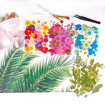 122PCS Dried Flowers Set for Art Crafts and Jewelry Making