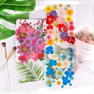 122PCS Dried Flowers Set for Art Crafts and Jewelry Making