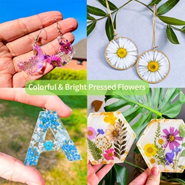 122PCS Dried Flowers Set for Art Crafts and Jewelry Making