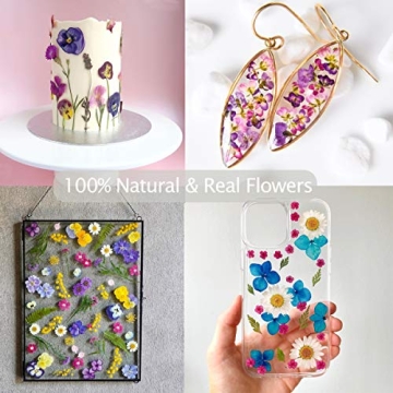 122PCS Dried Flowers Set for Art Crafts and Jewelry Making