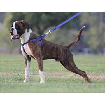 Reflective Adjustable Dog Step-in Harness for Large Breeds; Matching Leash Available