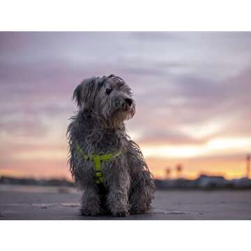 Adjustable Reflective Dog Harness for Large Breeds