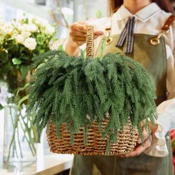 12 Pcs Norfolk Pine Branches 17" Artificial Pine Needles Branches Fake Greenery Picks Norfolk Pine Stems for Christmas Tree Vase Fillers DIY Crafts Garland Wreath Home Winter Decorations (12, Green)