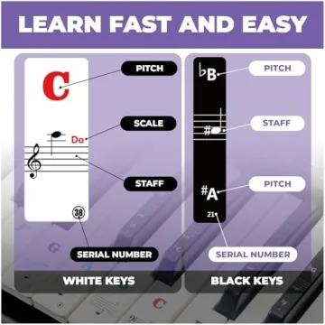 Liquid Stands Piano Note Stickers for Easy Learning