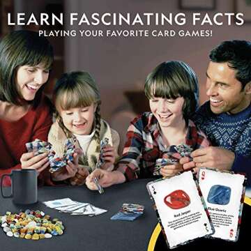 National Geographic Rock Bingo Game For Kids, STEM Fun!