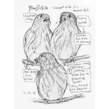 The Backyard Bird Chronicles