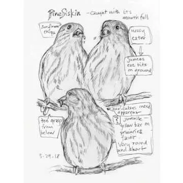 The Backyard Bird Chronicles