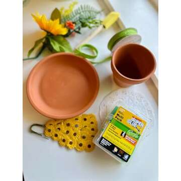 Super Glue Gel - 2 Gram Tubes - 12 Count (Pack of 1)