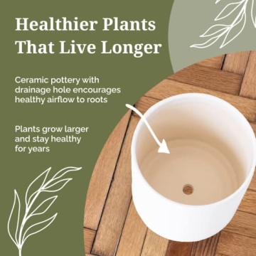 Stylish Hazel & Ivy Indoor Planters with Adjustable Stands