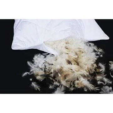 Three Geese Pack of 2 Goose Feather Bed Pillows for Comfort
