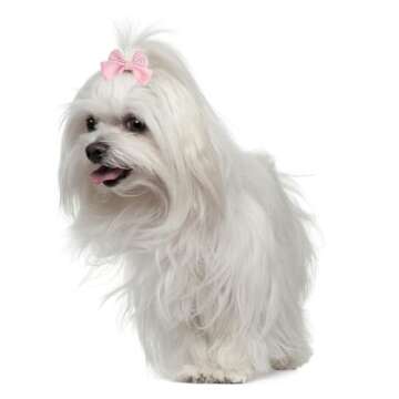 20Pcs Light Pink Small Dog Hair Bows Cute Puppy Dog Bowknot Hair Bow Bulk with Rubber Bands Elastic Lace Rhinestone Pearls Hair Ties Mix Style Handmade Flower Bow Dog Cat (Light Pink, Cute pattern)