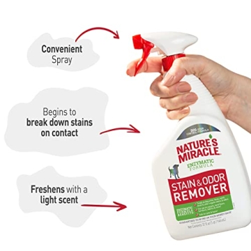 Effective Pet Stain and Odor Remover - 32 fl oz