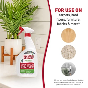 Effective Pet Stain and Odor Remover - 32 fl oz